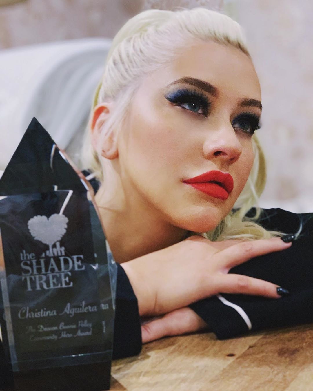 Christina Aguilera. βραβείο απο οργάνωση θυμάτων ενδοοικογενειακής βίας