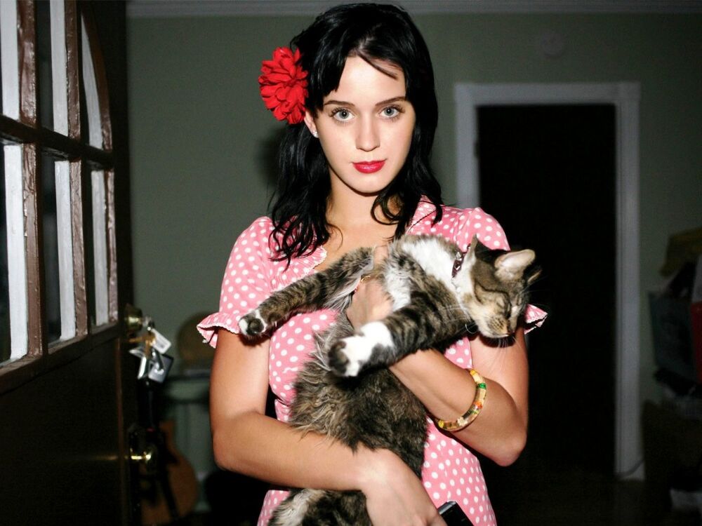 Η Katy Perry θρηνεί την αγαπημένη της γάτα και μασκότ, Kitty Purry!